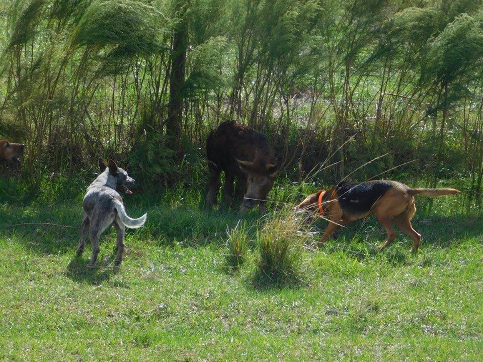 Outwest Farms-奥基乔比必去景点