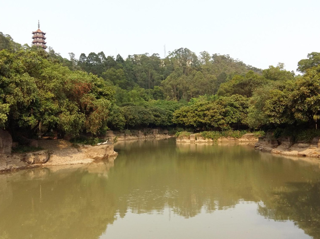 大雁山-鹤山市必去景点