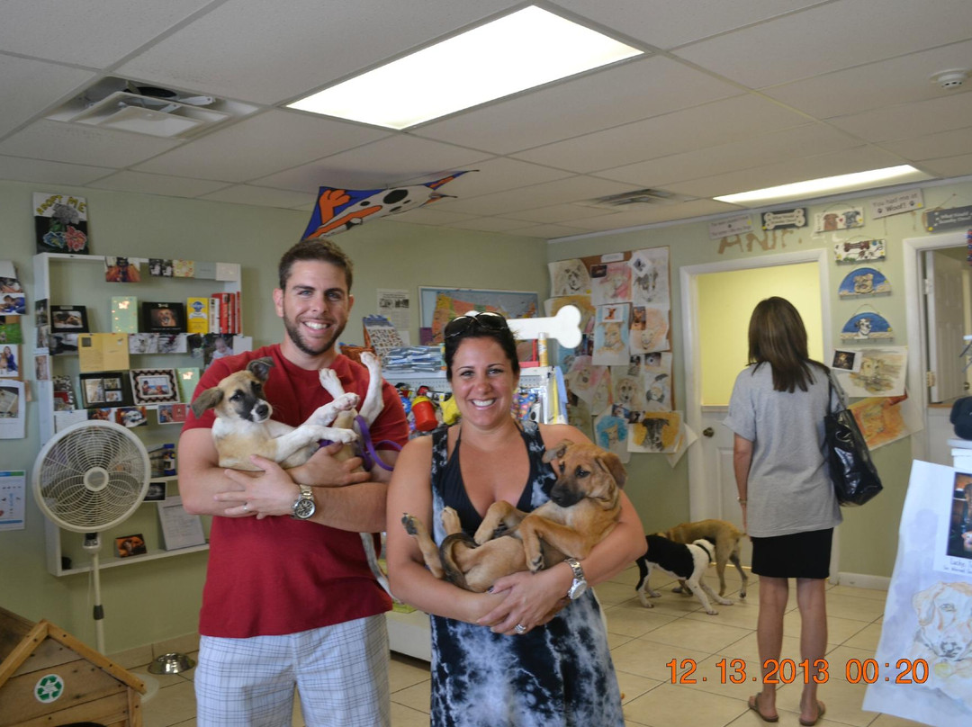 Royal's Taxi & Tours-Five Cays Settlement必去景点