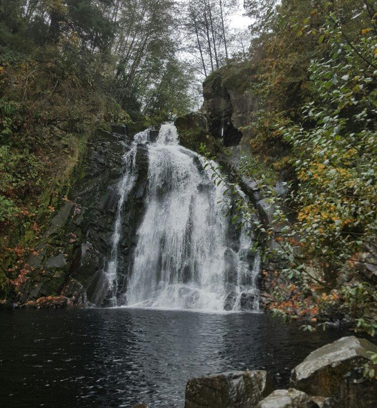 Young River Falls-阿斯托里亚必去景点