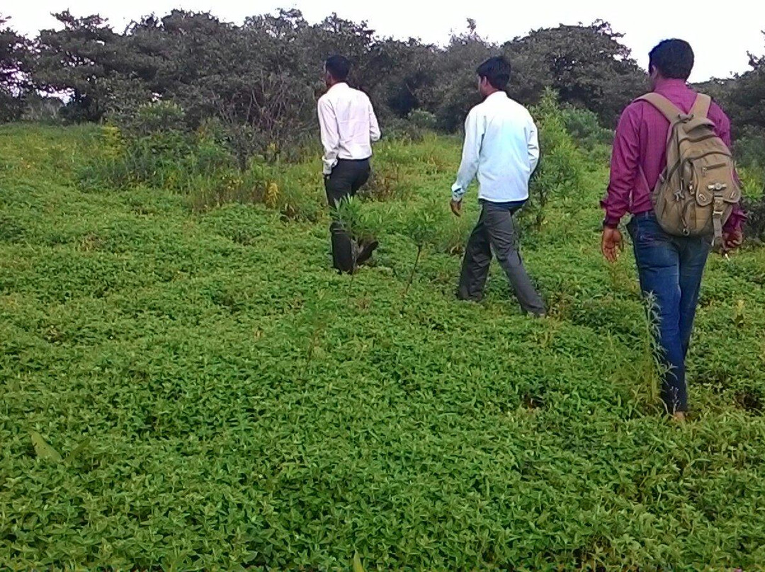 Sunset Spot & Picnic-暹粒必去景点