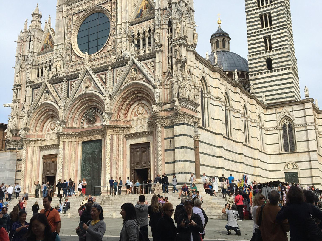 Elena Sardelli - Siena and Tuscany Tour Guide-锡耶纳必去景点