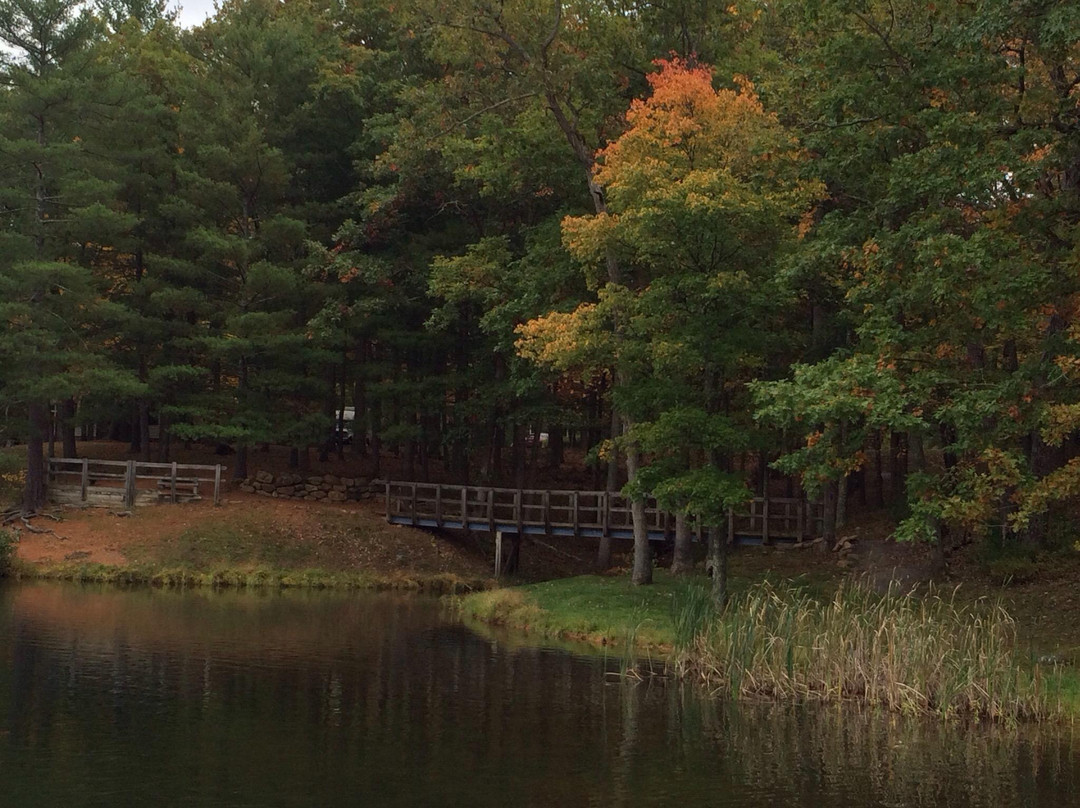 Buckhorne Country Store and Campground