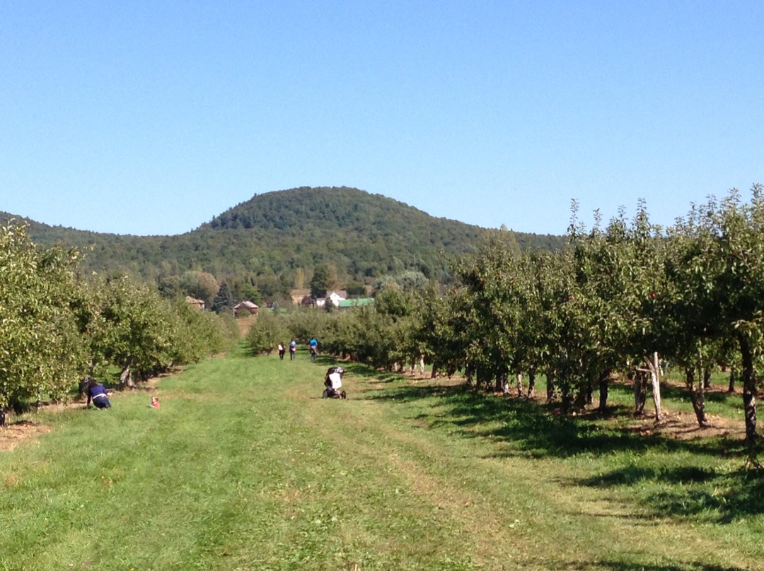 Pommeraie d'Or-Rougemont必去景点