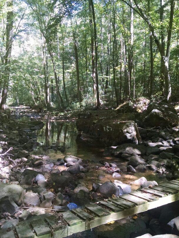 Hurricane Creek Park景点图片