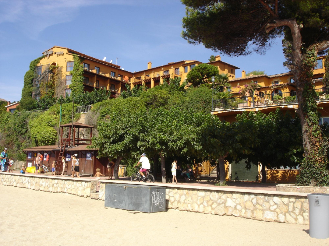 Playa de Fenals景点图片