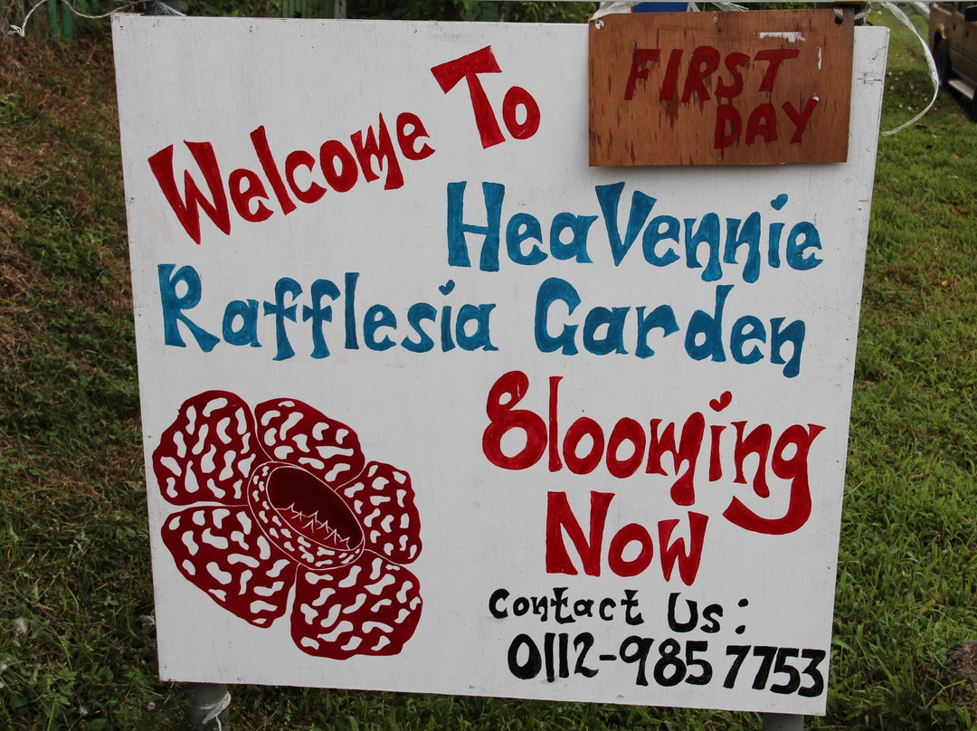 Napalus Rafflesia Garden-Poring必去景点