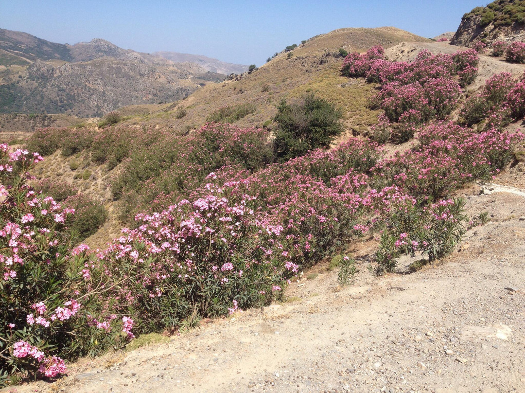 Cretan Mountain Jeep Safari-阿吉亚玛丽娜必去景点