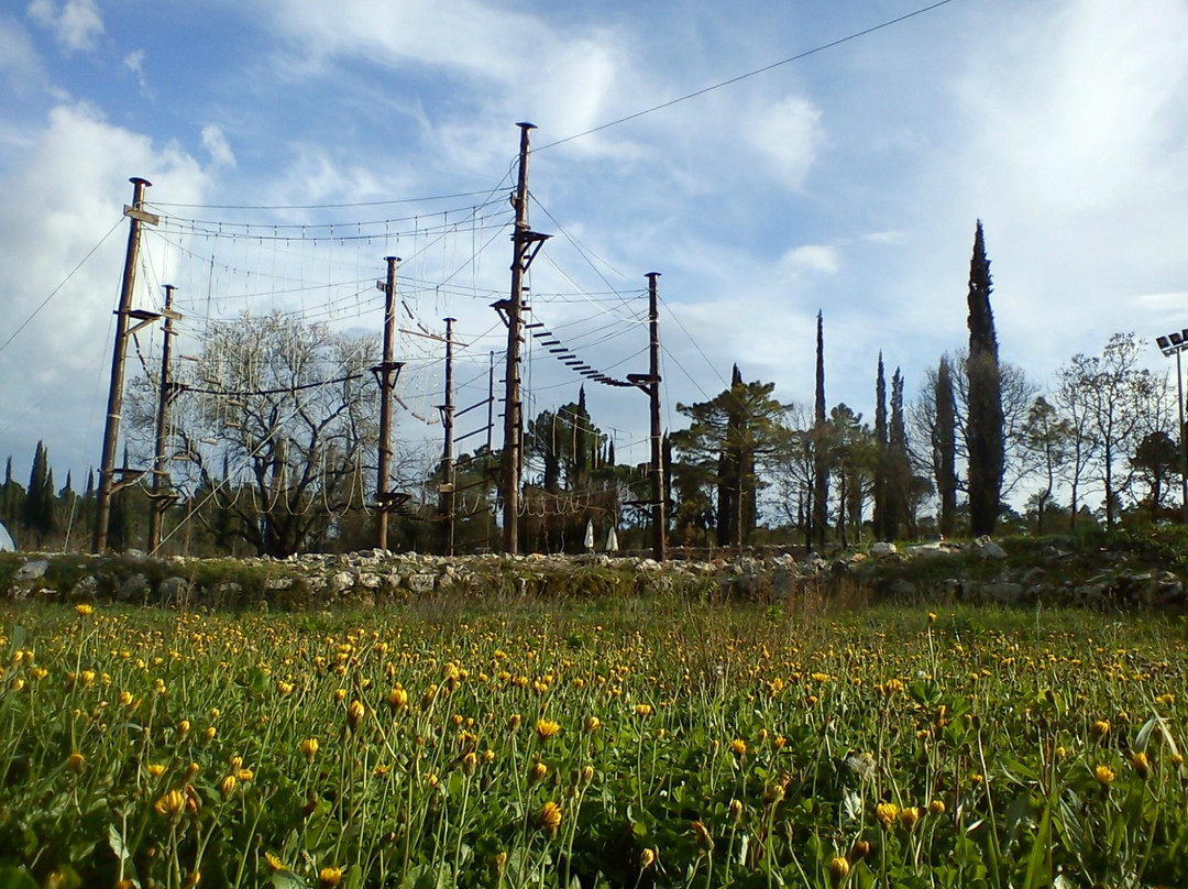 Sveta Ana Adrenalin Park景点图片
