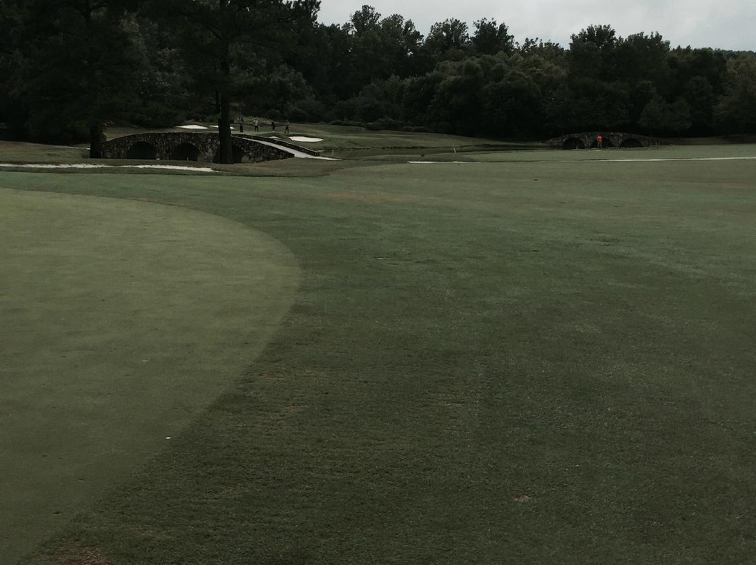 Renditions Golf Club景点图片