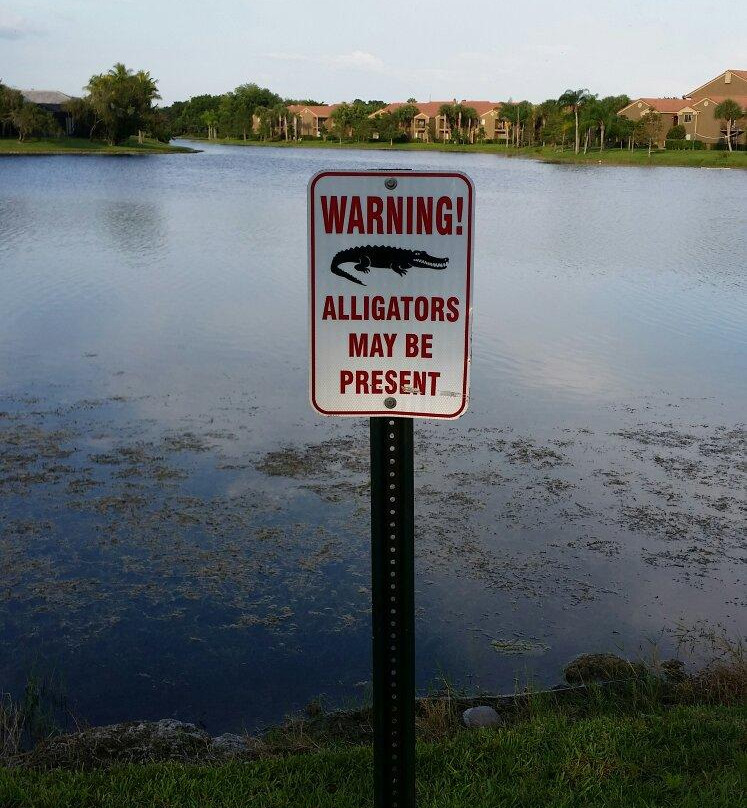 Peace Mound Park-韦斯顿必去景点