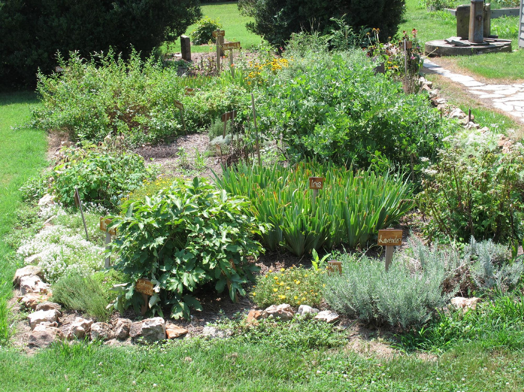 Felix Valle House State Historic Site-Sainte Genevieve必去景点