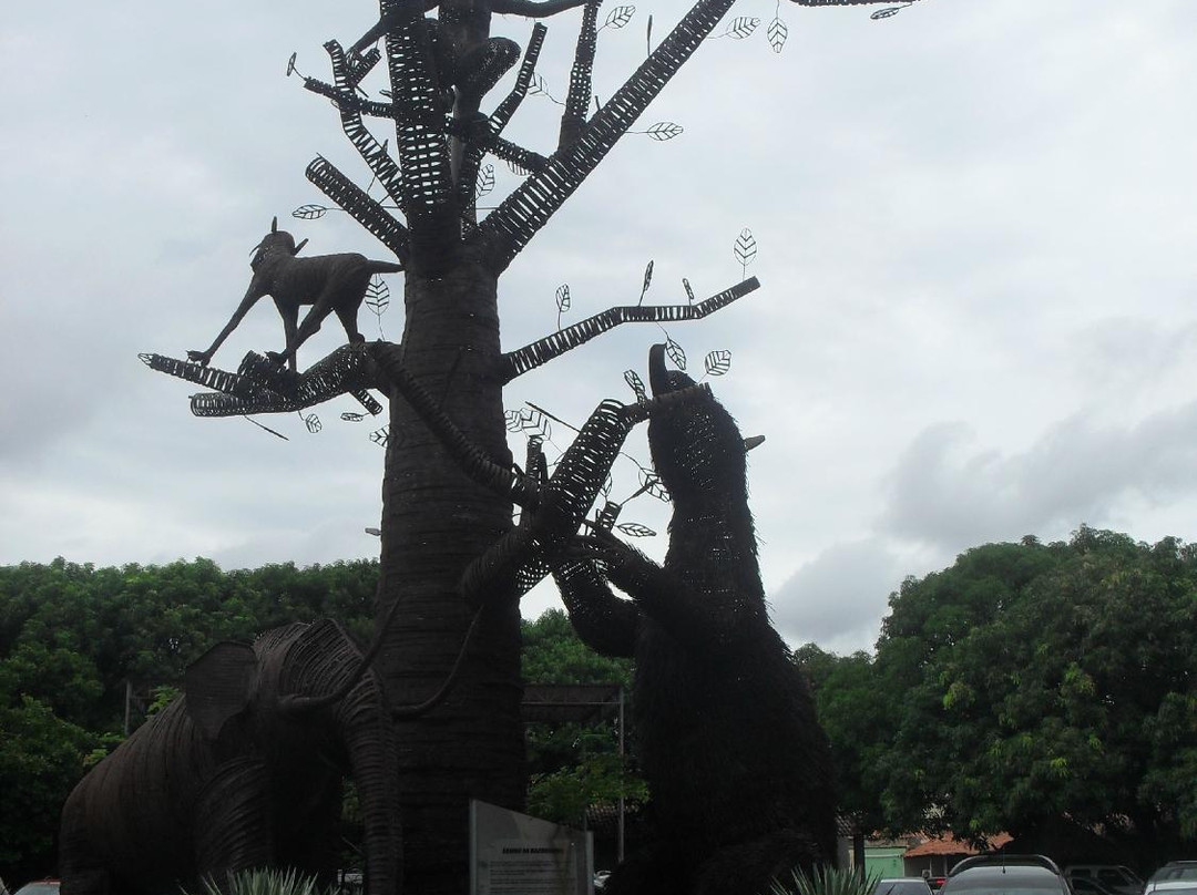 Casa de Cultura e Museu de Teresina景点图片