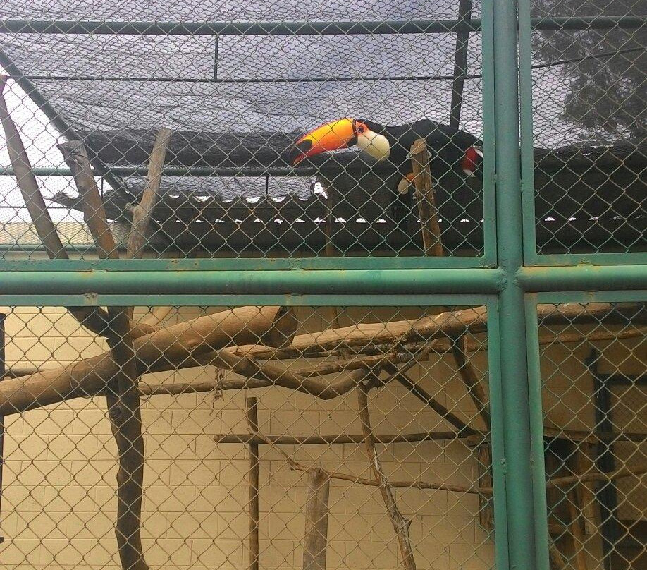 Horto Florestal De Limeira-Limeira必去景点