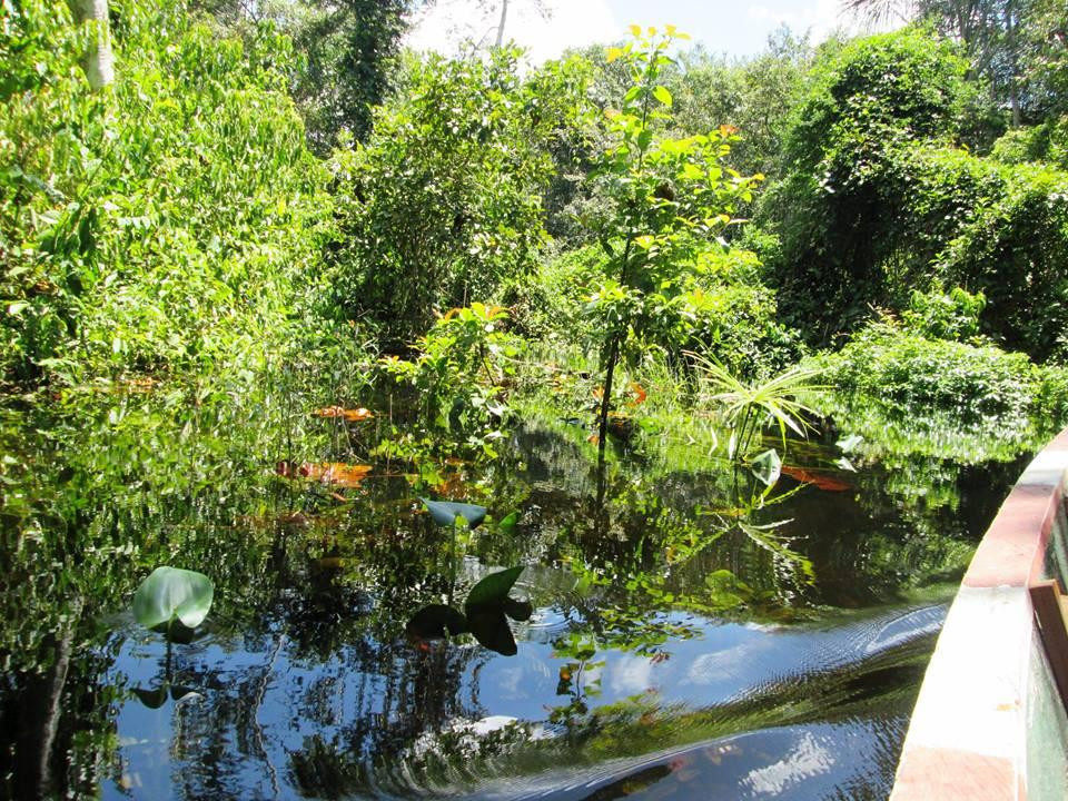 Rio Mayo-Tarapoto必去景点