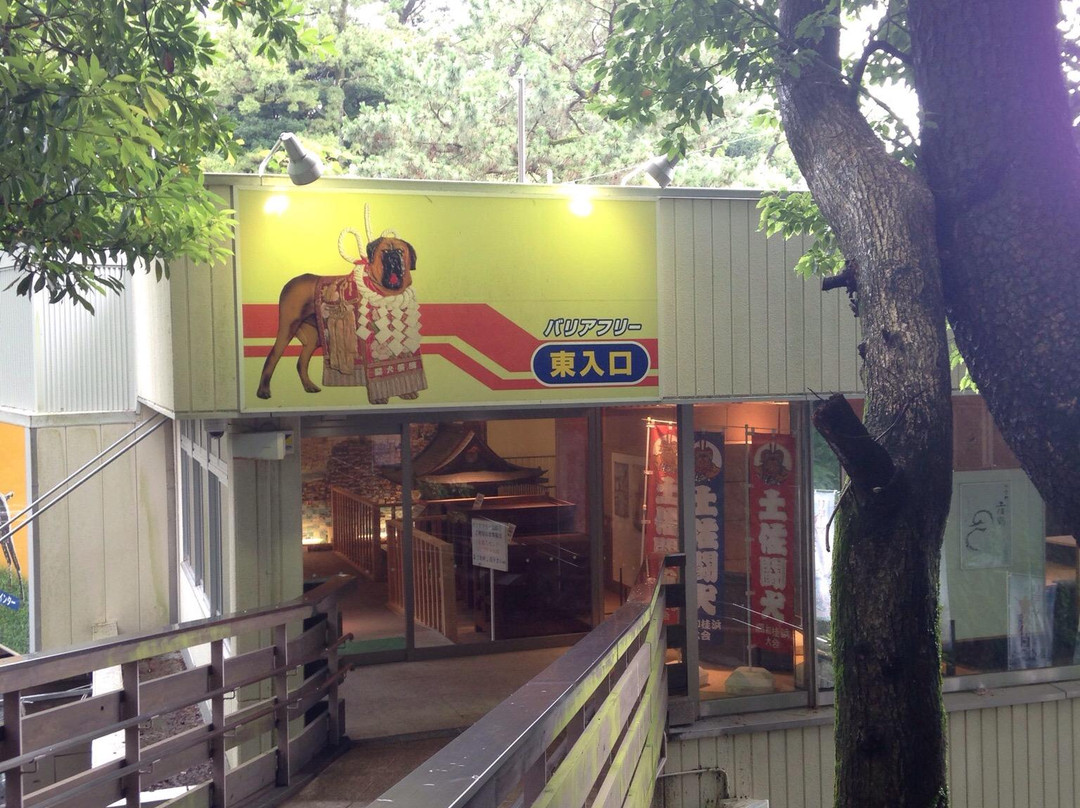 Tosa Dog Museum景点图片