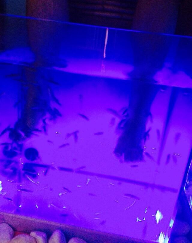 Paros Fish Spa-纳乌萨必去景点