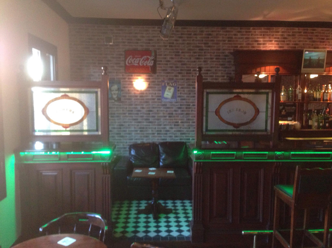 The Celtic Drop Irish Bar-托雷维耶哈必去景点