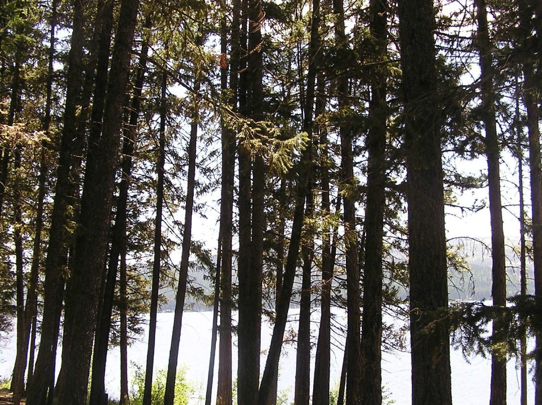 Placid Lake State Park景点图片