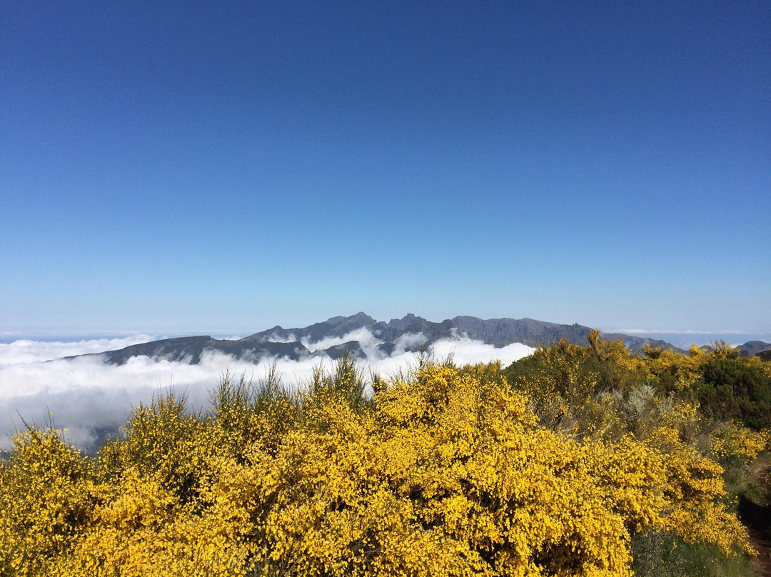 Pico Ruivo do Paul da Serra-马德拉群岛必去景点
