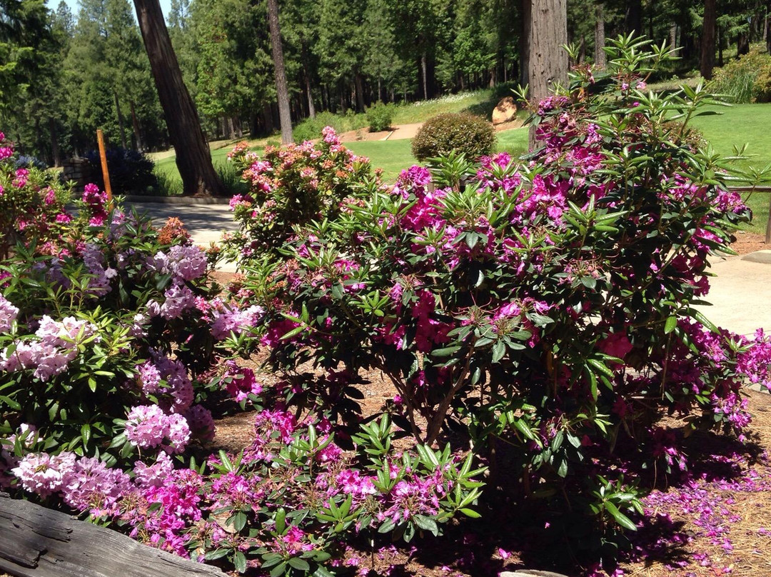 Apple Mountain Golf Resort景点图片