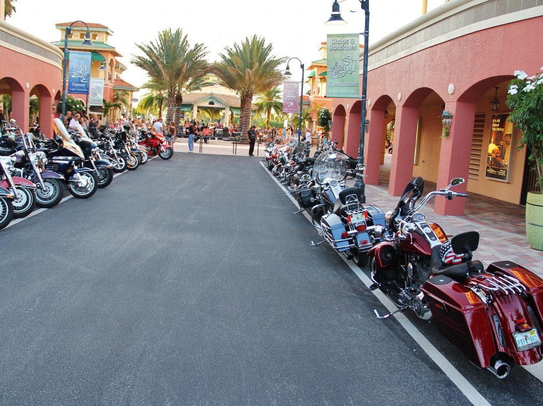 Harbour View Gallery-开普科勒尔必去景点