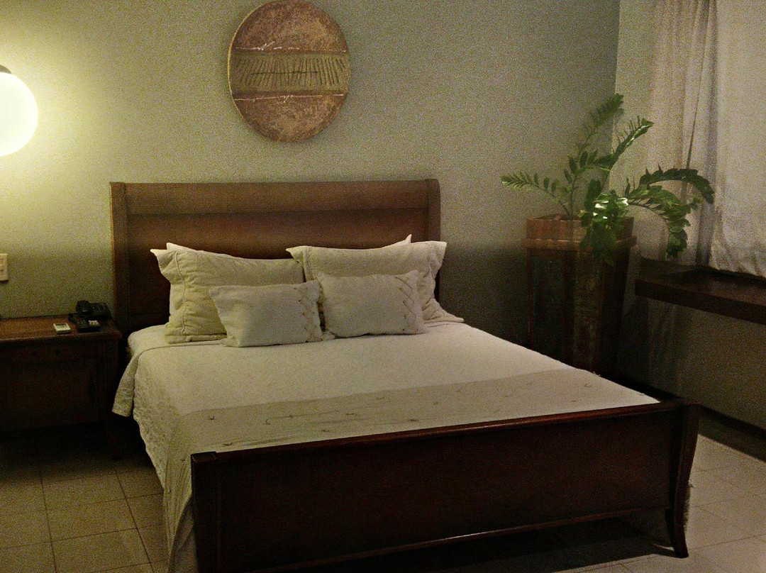 安纳卡圣卡洛斯酒店主图