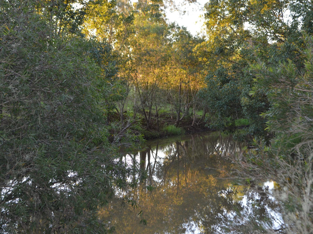 The Peterson Creek Walking Track-Yungaburra必去景点