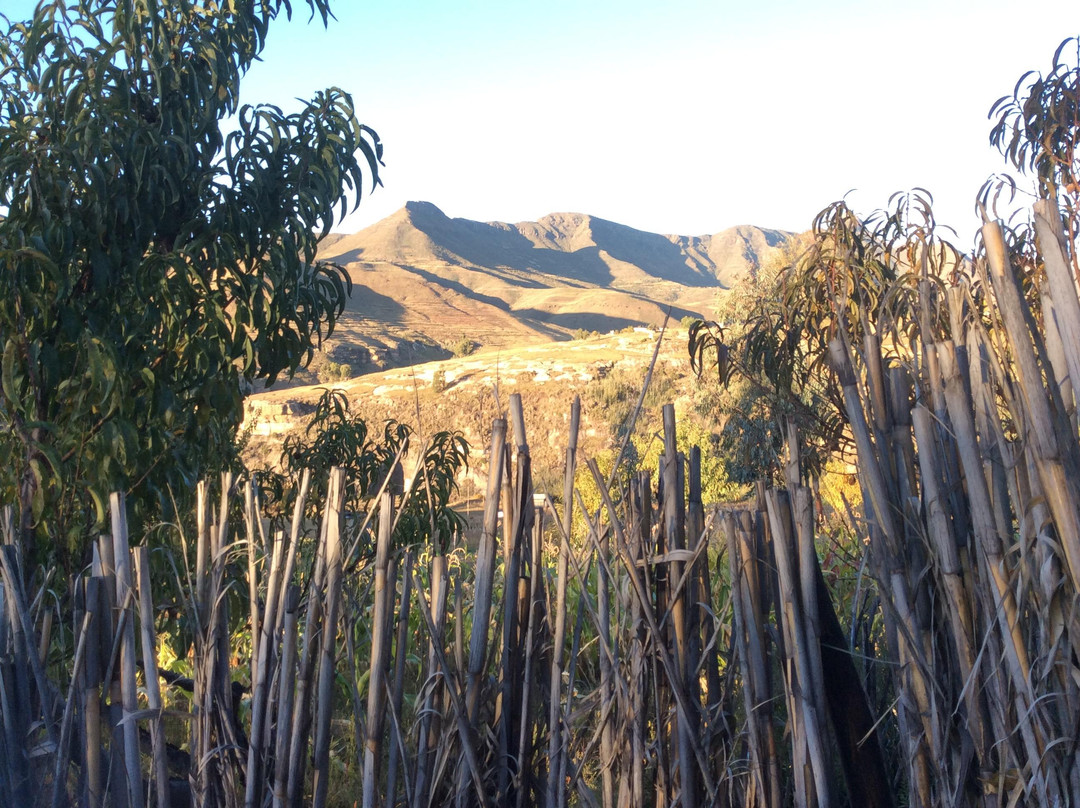 Mamohase Rural Stay B&B