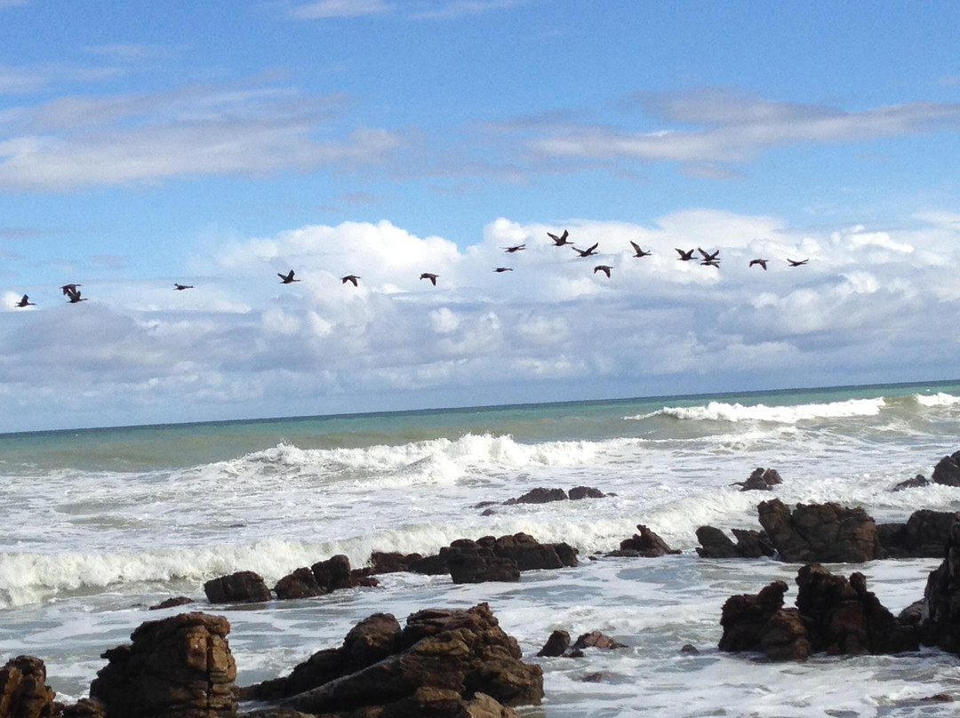 Cape Agulhas - Southernmost Tip of Africa-厄加勒斯角必去景点