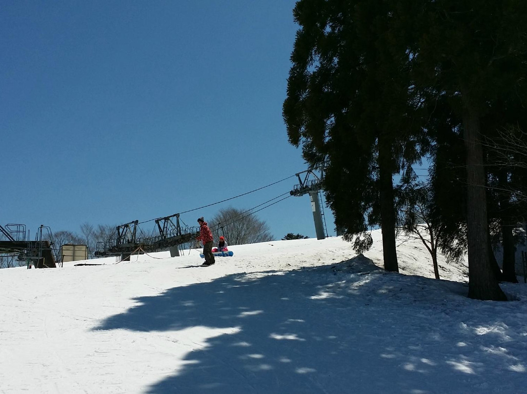 Snow Wave Park Shiratori Kogen-郡上市必去景点