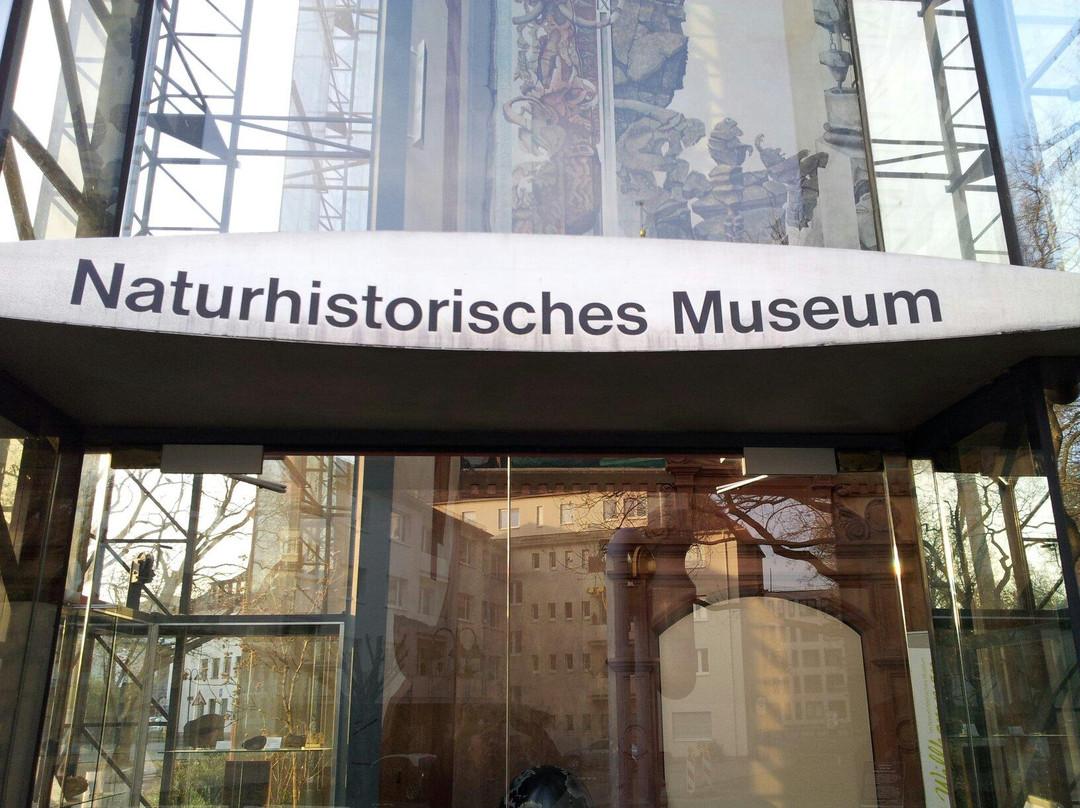 Naturhistorisches Museum Mainz-美因茨必去景点