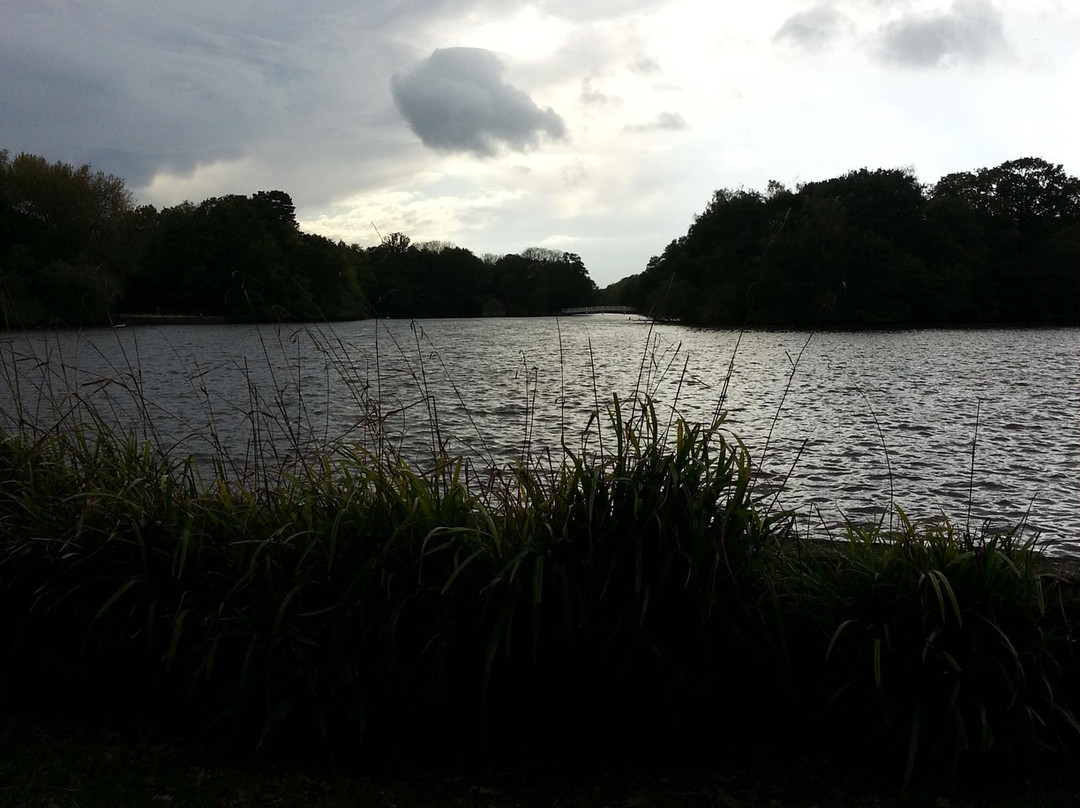Hartsholme Country Park景点图片