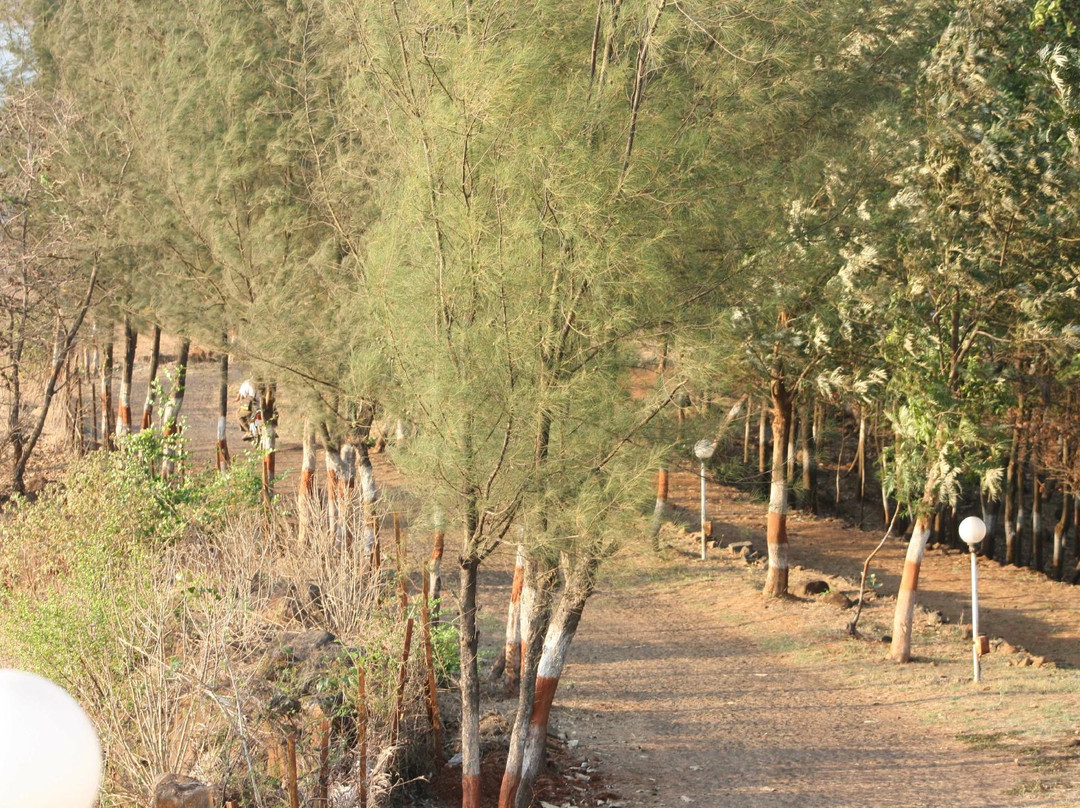Varasgaon Dam景点图片