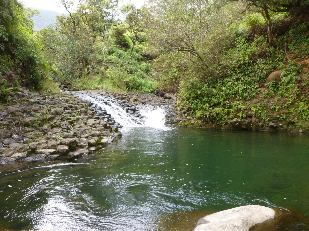 Experience Kauai Tours & Transportation-普林斯维尔必去景点