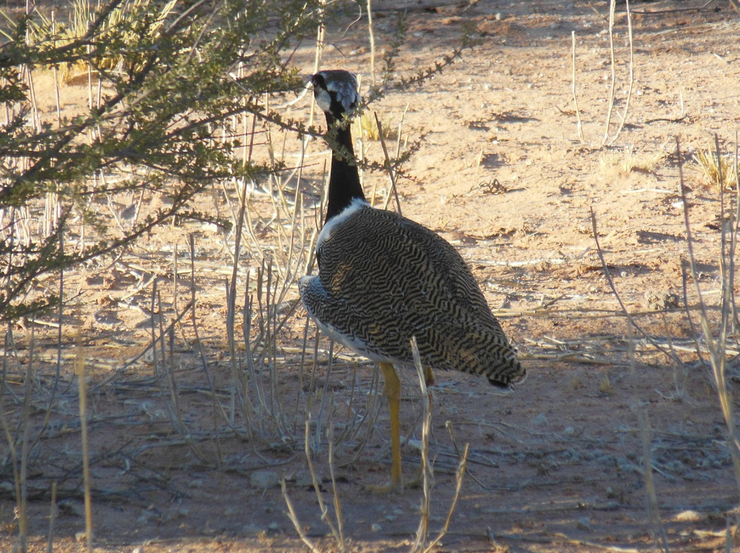 Macit Tours - Day Tours-桑顿必去景点