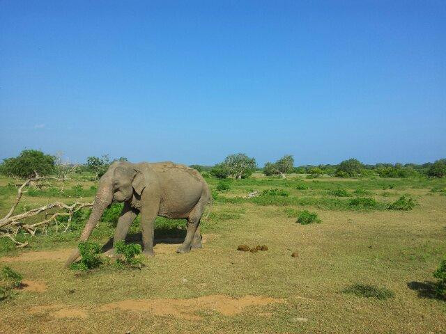 Daya Safari Jeep Service-蒂瑟默哈拉默必去景点