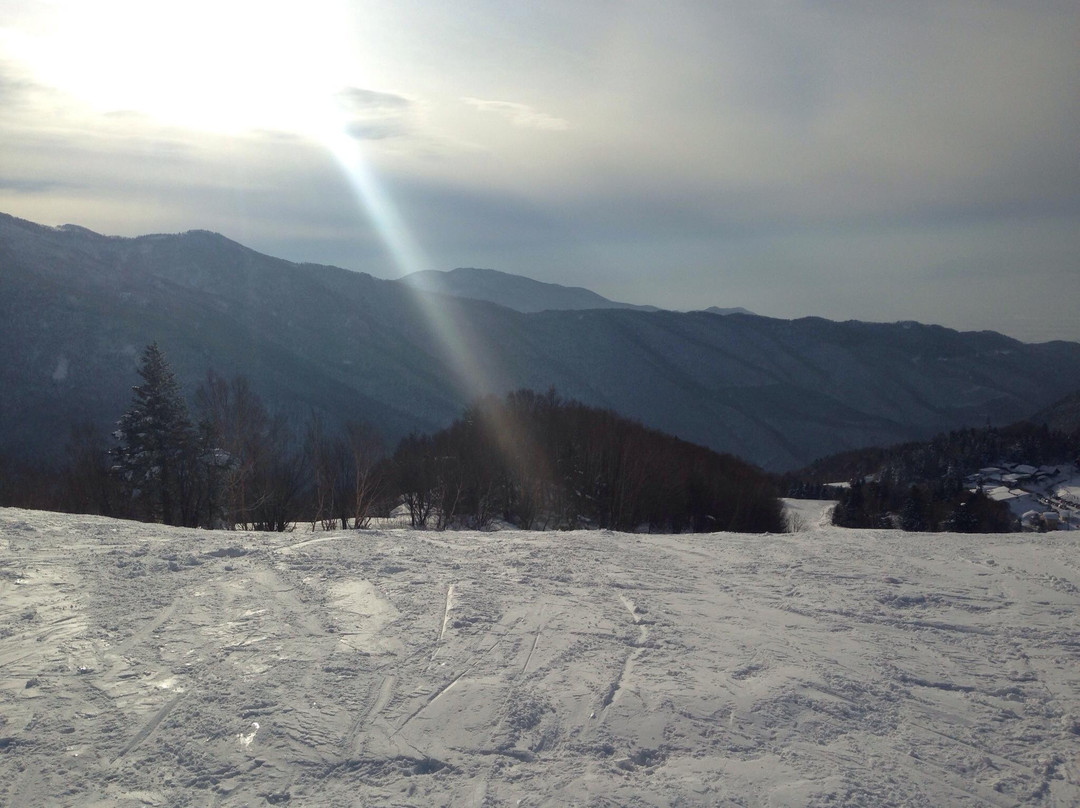 Yamada Farm, Yamaboku Wild Snow Park-高山村必去景点