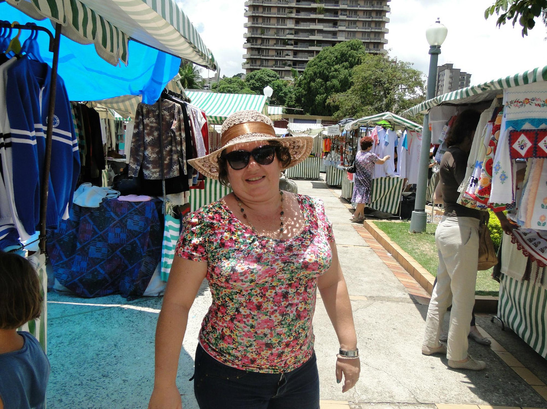 Feira de Artes e Artesanato-Pocos de Caldas必去景点