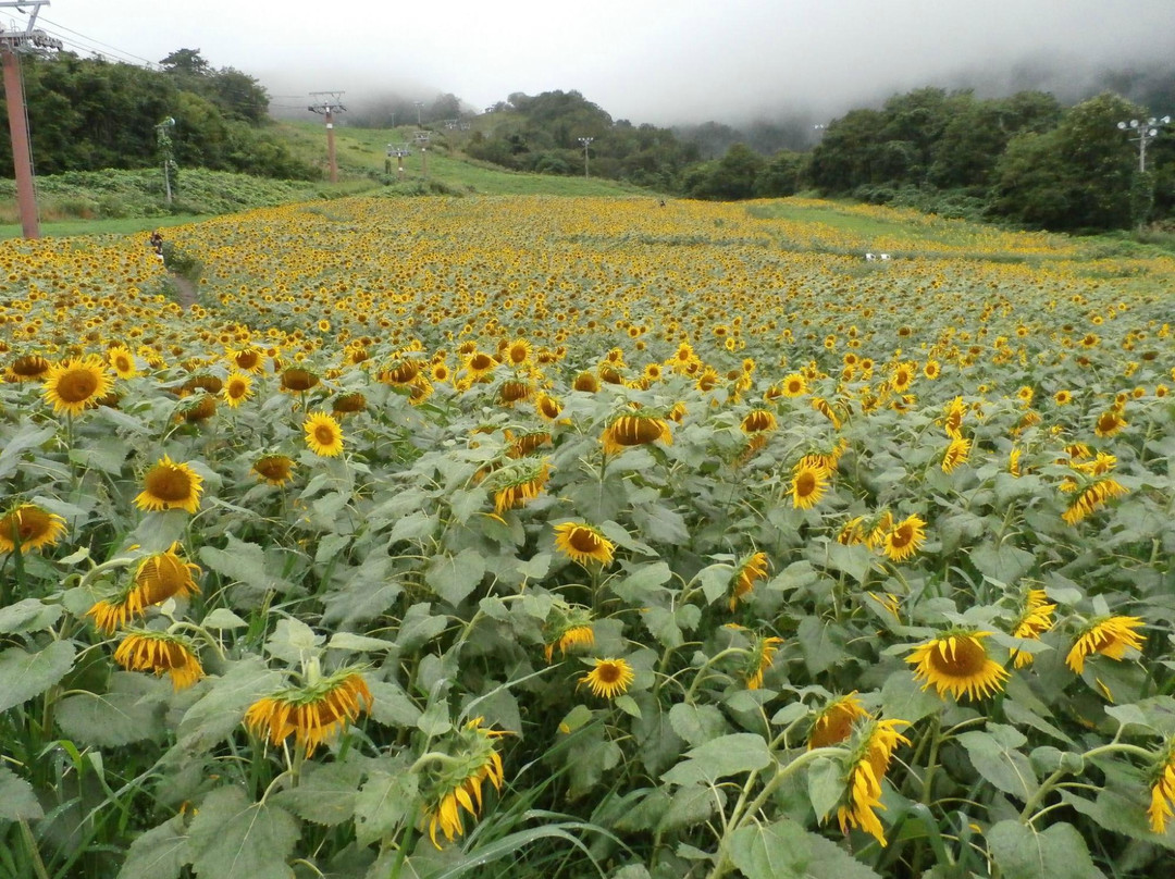 Sannokura Ski Area-喜多方市必去景点