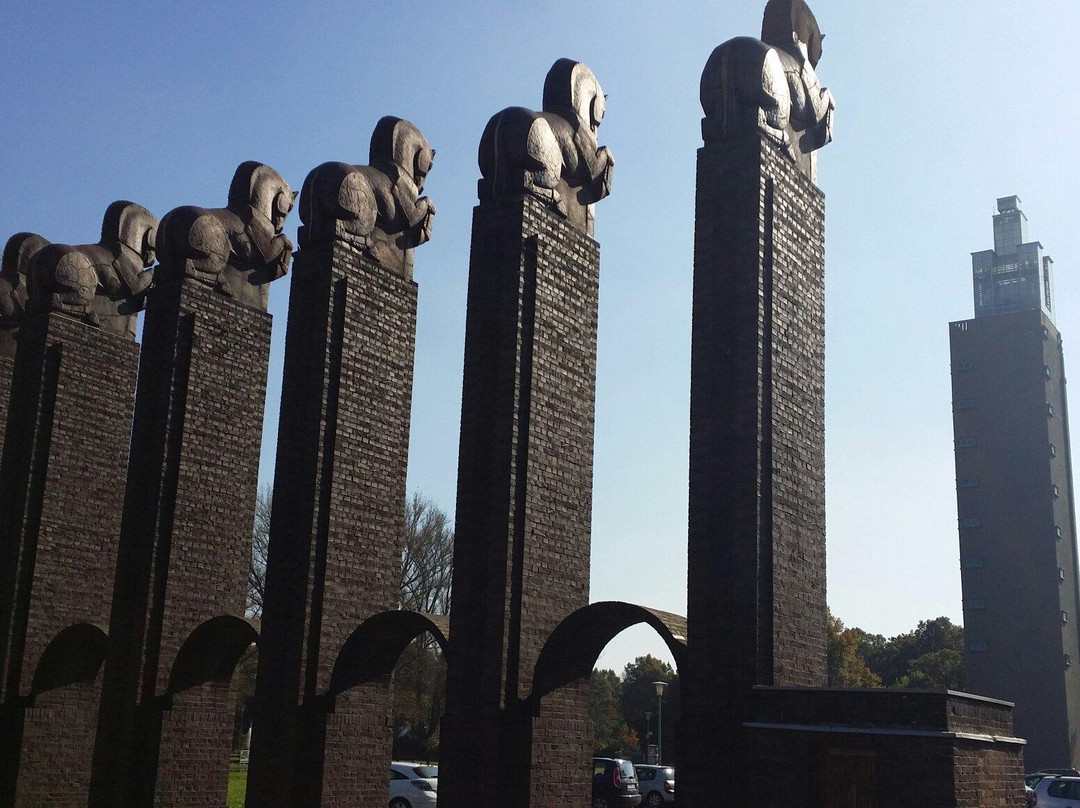 Aussichtsturm - Stadtpark Rotehorn-马格德堡必去景点