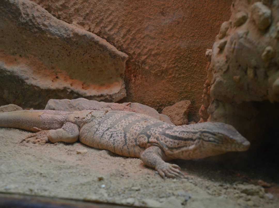 Exotic Gardens of Bouknadel-Bouknadel必去景点