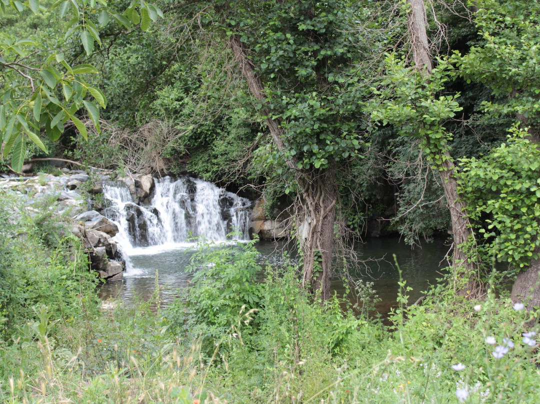 Farnese旅游景点-Cascata del Salabrone