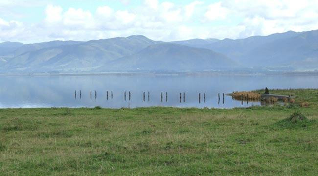 Lake Wairarapa景点图片