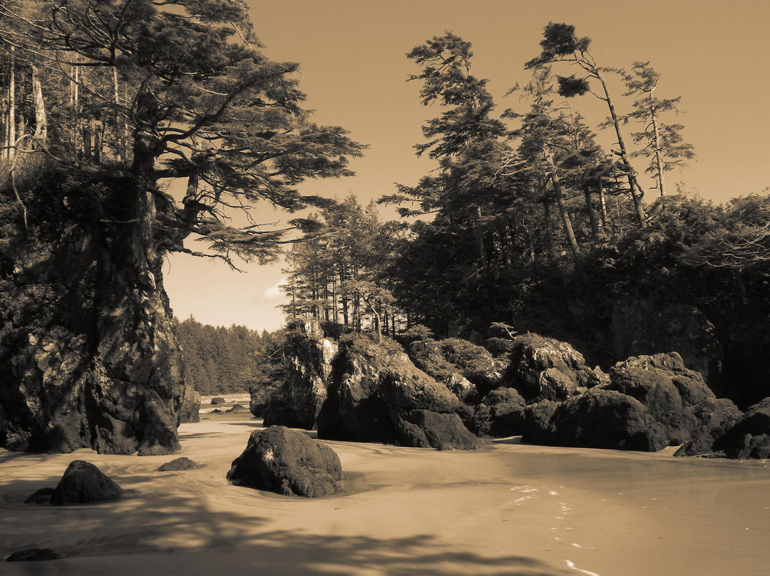 Cape Scott Provincial Park景点图片