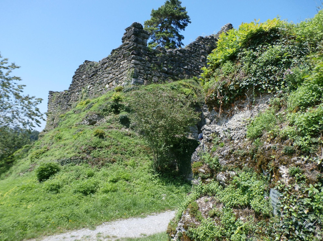 Richterswil旅游景点-Burgruine Alt-Waedenswil