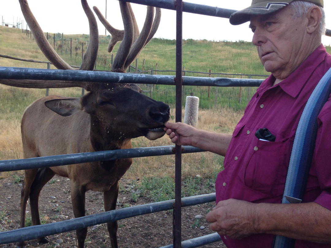 Wyman Living History Museum-Craig必去景点
