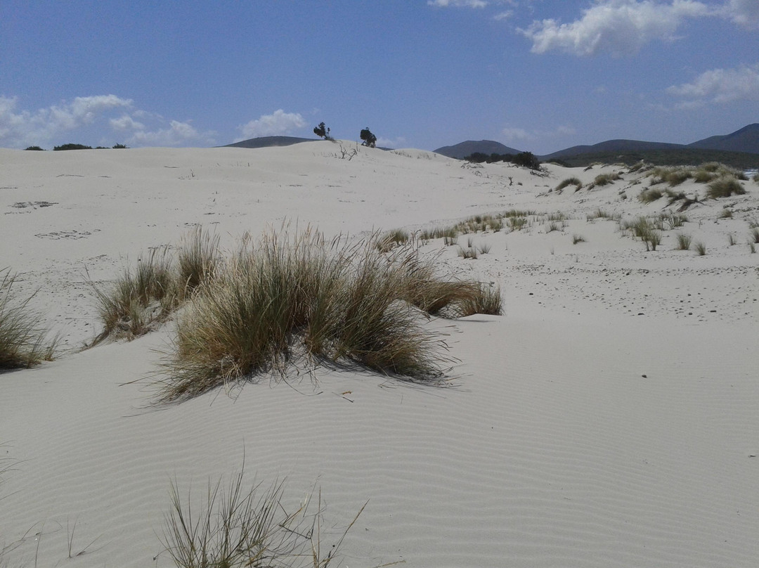 Spiaggia Porto Pino-Sant'Anna Arresi必去景点