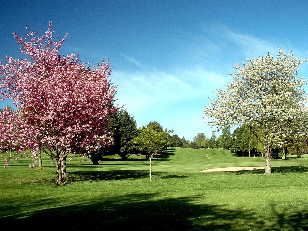 The Hirsel Golf Club景点图片