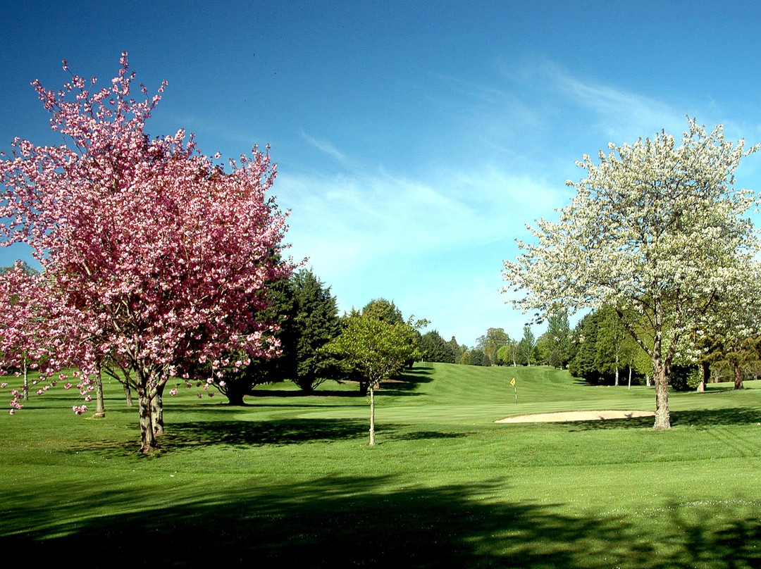 The Hirsel Golf Club-Coldstream必去景点